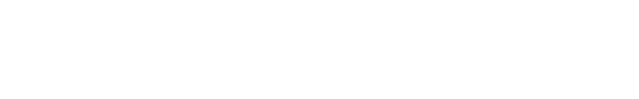 Boehringer Ingelheim Logo