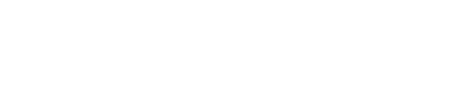 Crowdstrike Logo