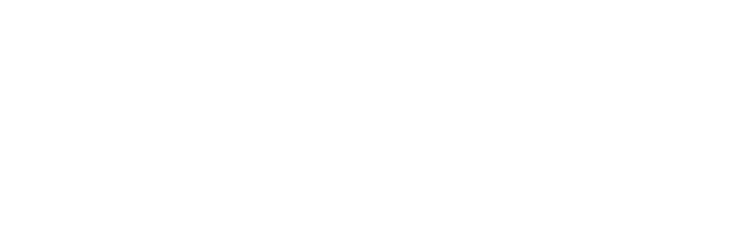 Verismo Therapeutics Logo