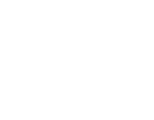 Adobe Logo